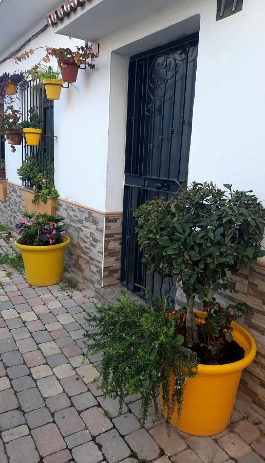 Apartamento En Casco Historico Estepona Buitenkant foto